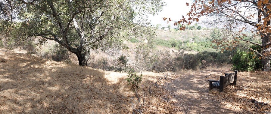 Descanso.Cali.Forest.72