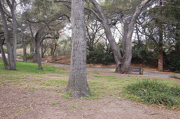 DSC 0115