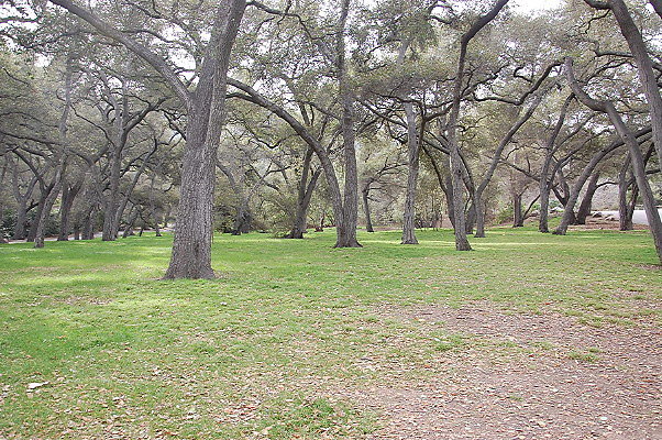 DSC 0114