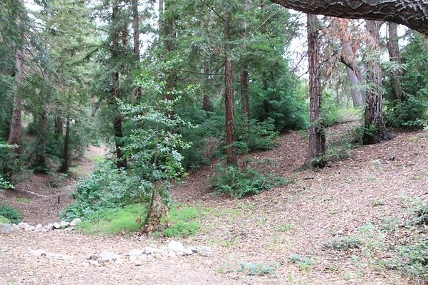 Descanso.Pines.15