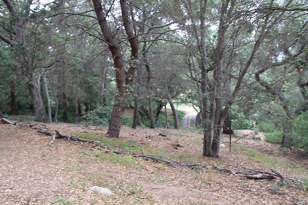 Descanso.Pines.06