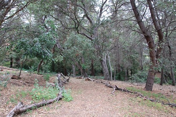 Descanso.Pines.05