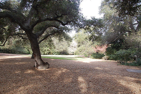 DSC 0157