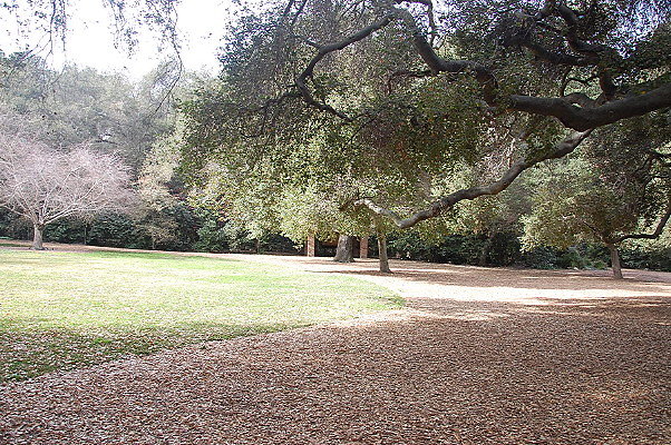 DSC 0156
