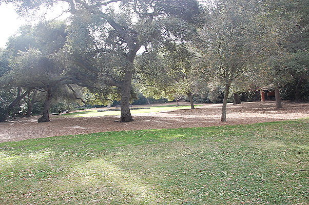 DSC 0164