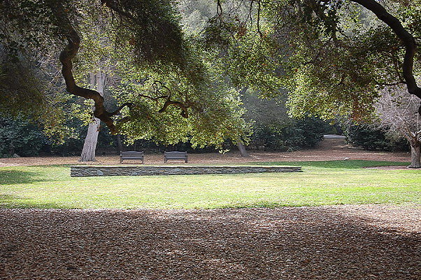 DSC 0159