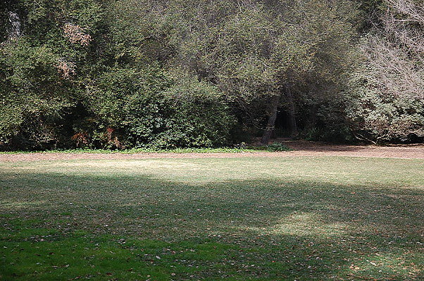 DSC 0162