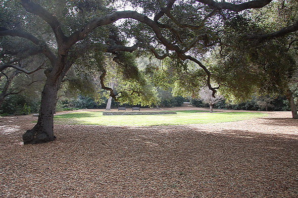 DSC 0158