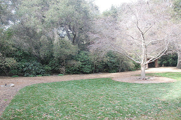 DSC 0147