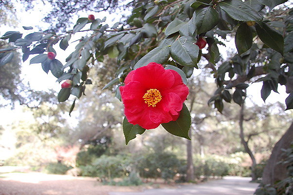 DSC 0154