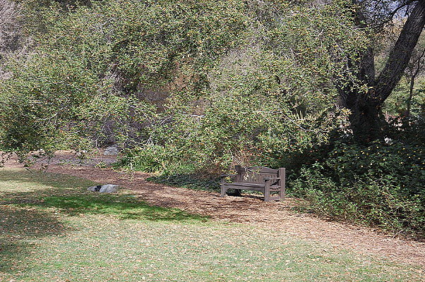 DSC 0163