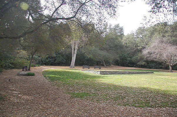 DSC 0155