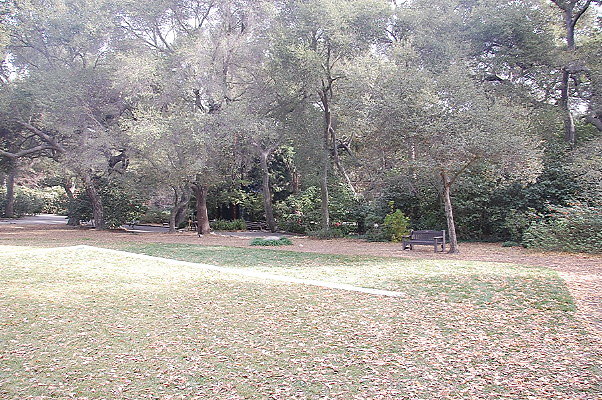 DSC 0149