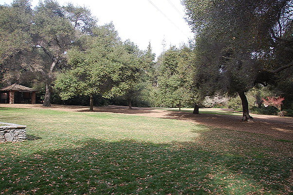 DSC 0152
