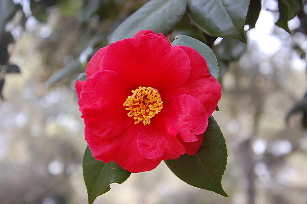 DSC 0153