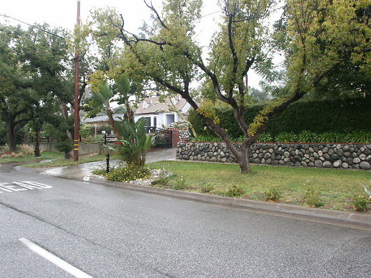 PICT0636