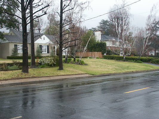 PICT0559