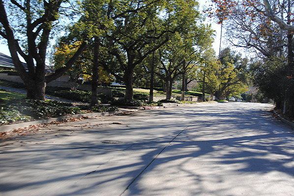 DSC 0118