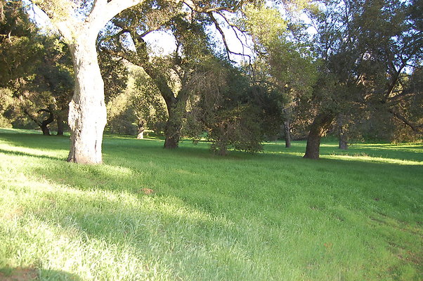 DSC 0502