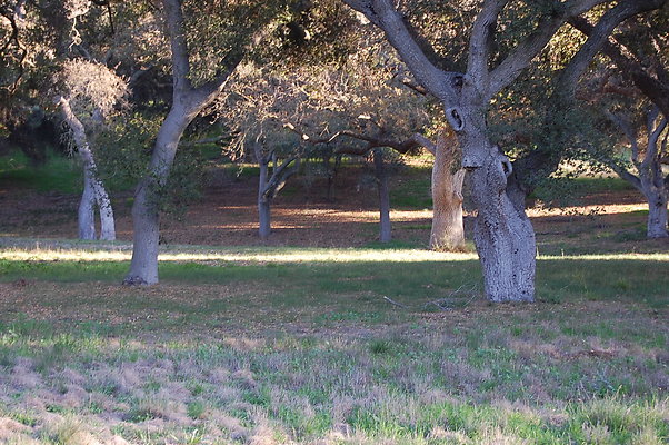DSC 0488