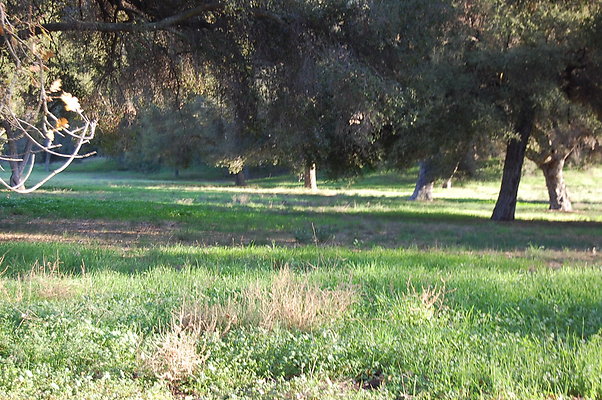 DSC 0460