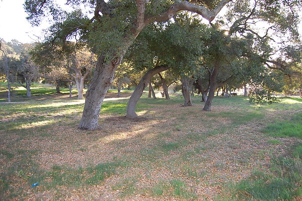 DSC 0481