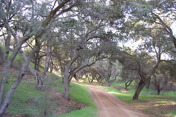 DSC 0440