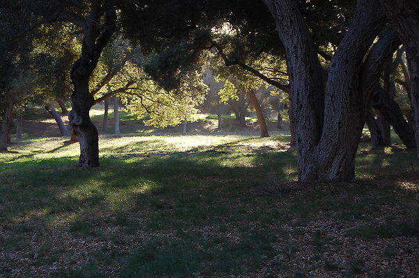 DSC 0471