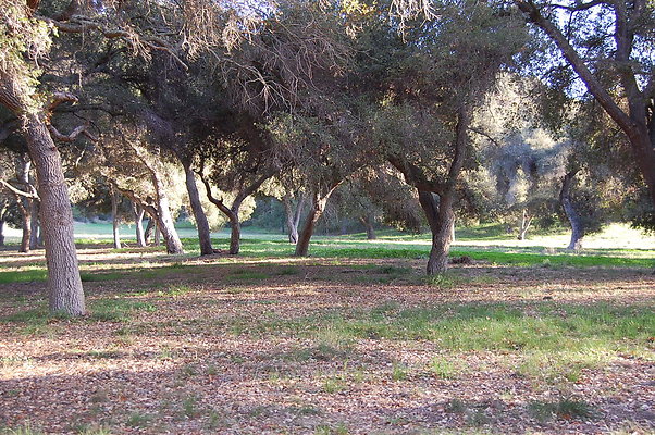 DSC 0455