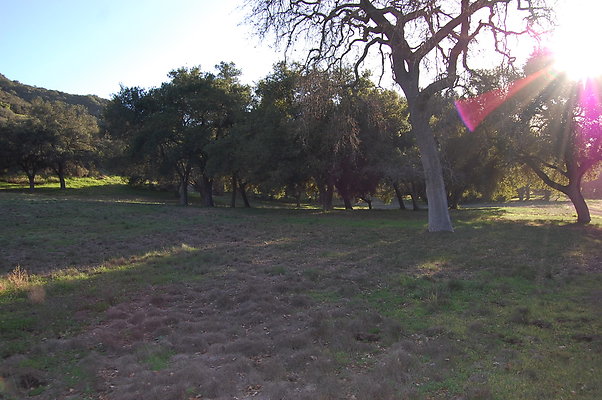 DSC 0444