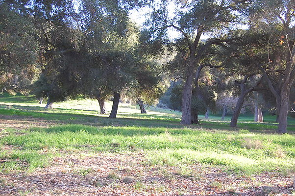 DSC 0457
