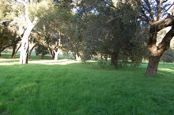 DSC 0504