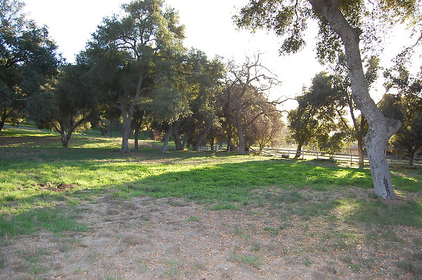 DSC 0485