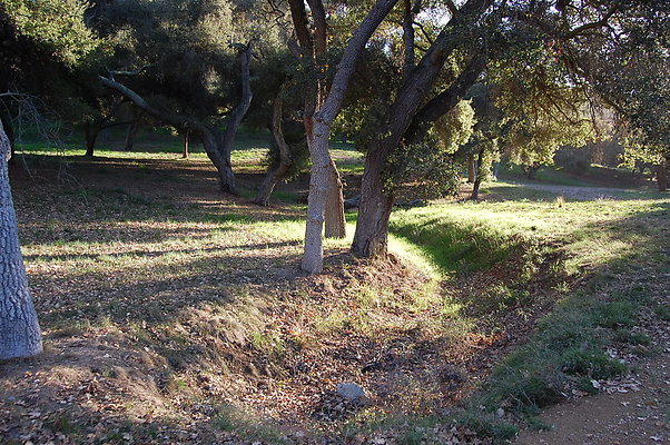 DSC 0468