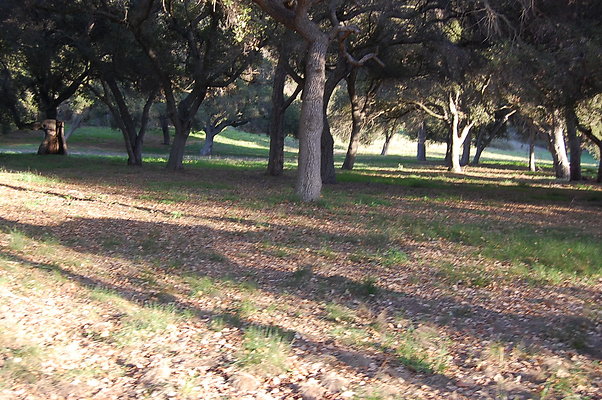 DSC 0456
