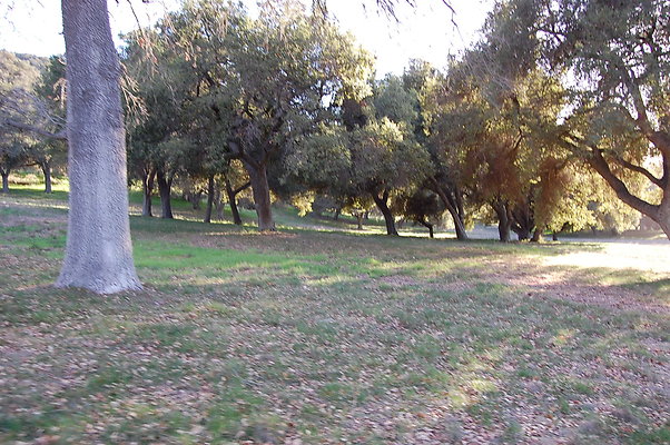DSC 0446