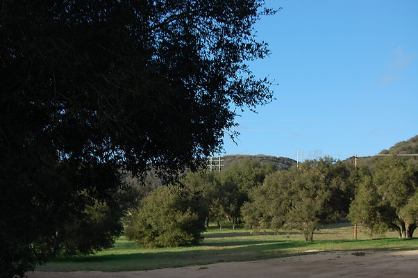 DSC 0425