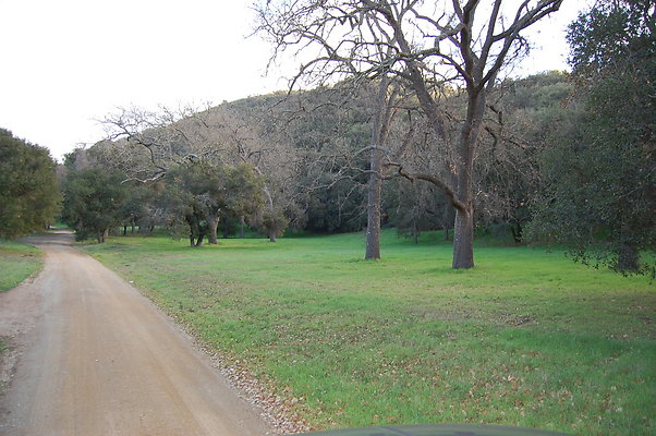 DSC 0389