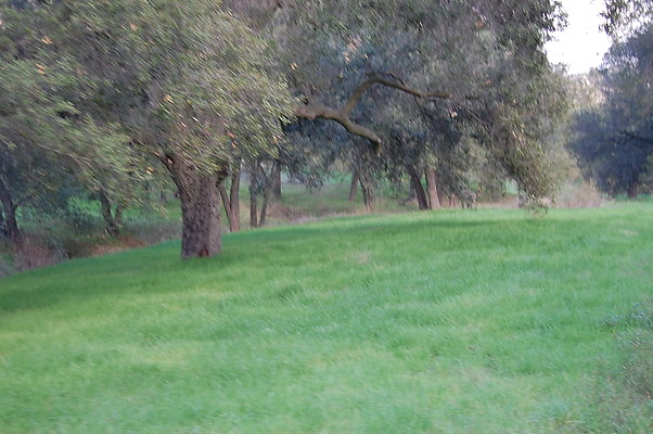 DSC 0392