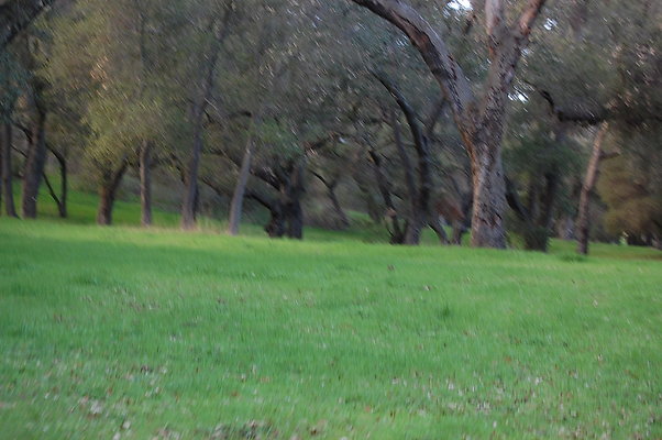 DSC 0408