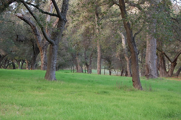 DSC 0407