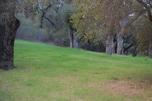 DSC 0415