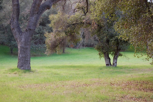 DSC 0421