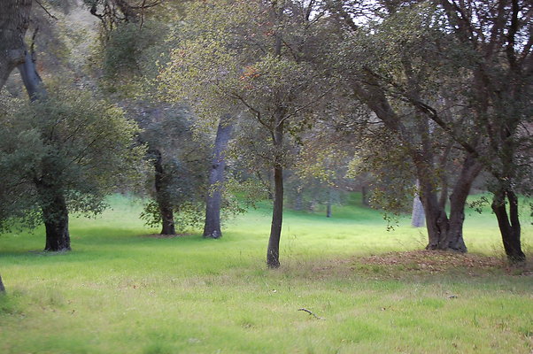 DSC 0419