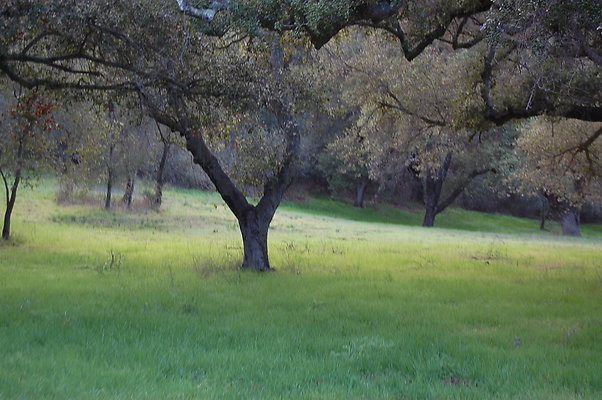 DSC 0416