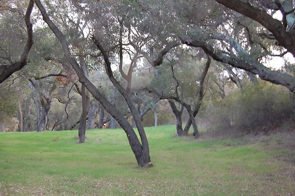 DSC 0396