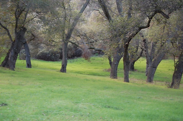 DSC 0412