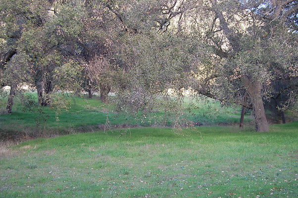 DSC 0391