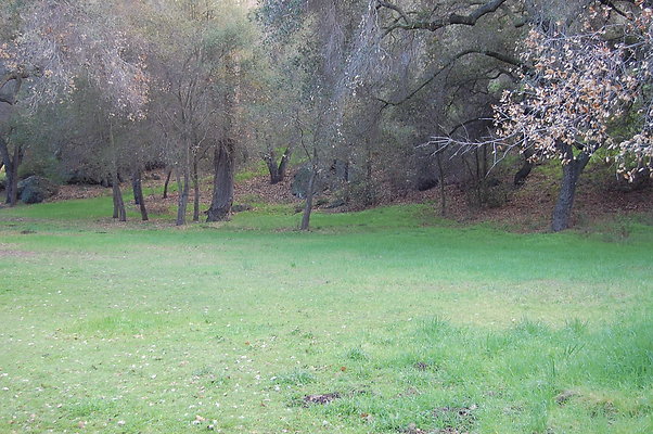 DSC 0401
