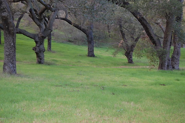 DSC 0413